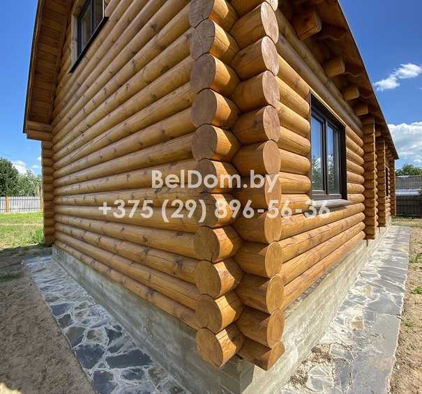 Покраска деревянного дома из оцилиндрованного бревна под Минском фото 2